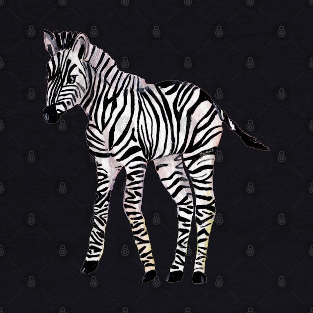 Baby Zebra by Peleegirl